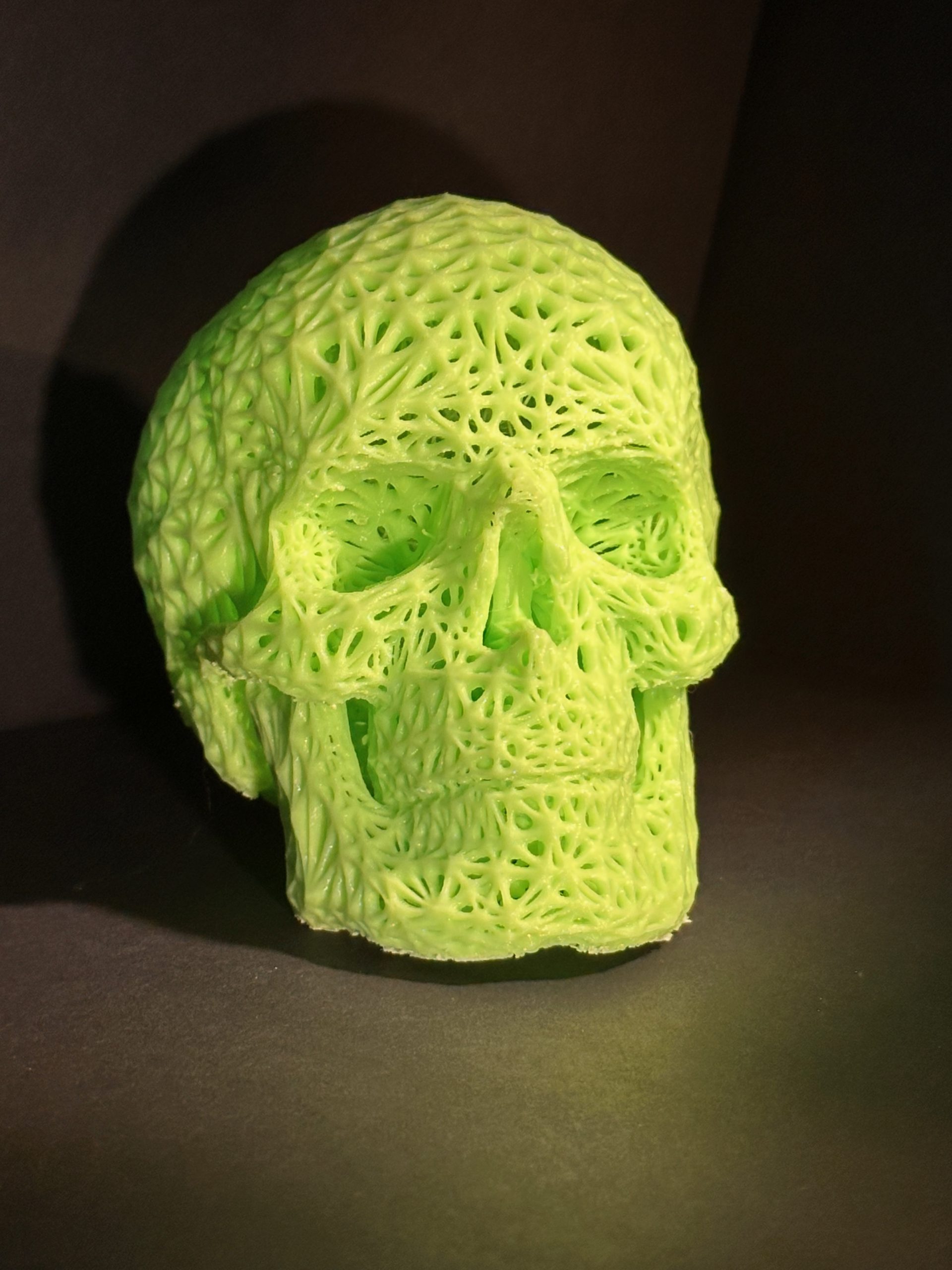 Skull - Web - Liminous