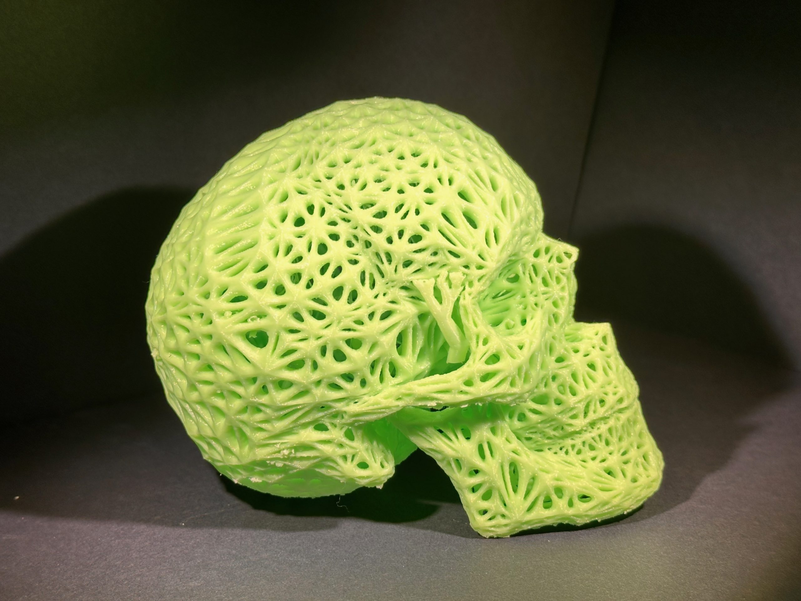 Skull – Web – Liminous